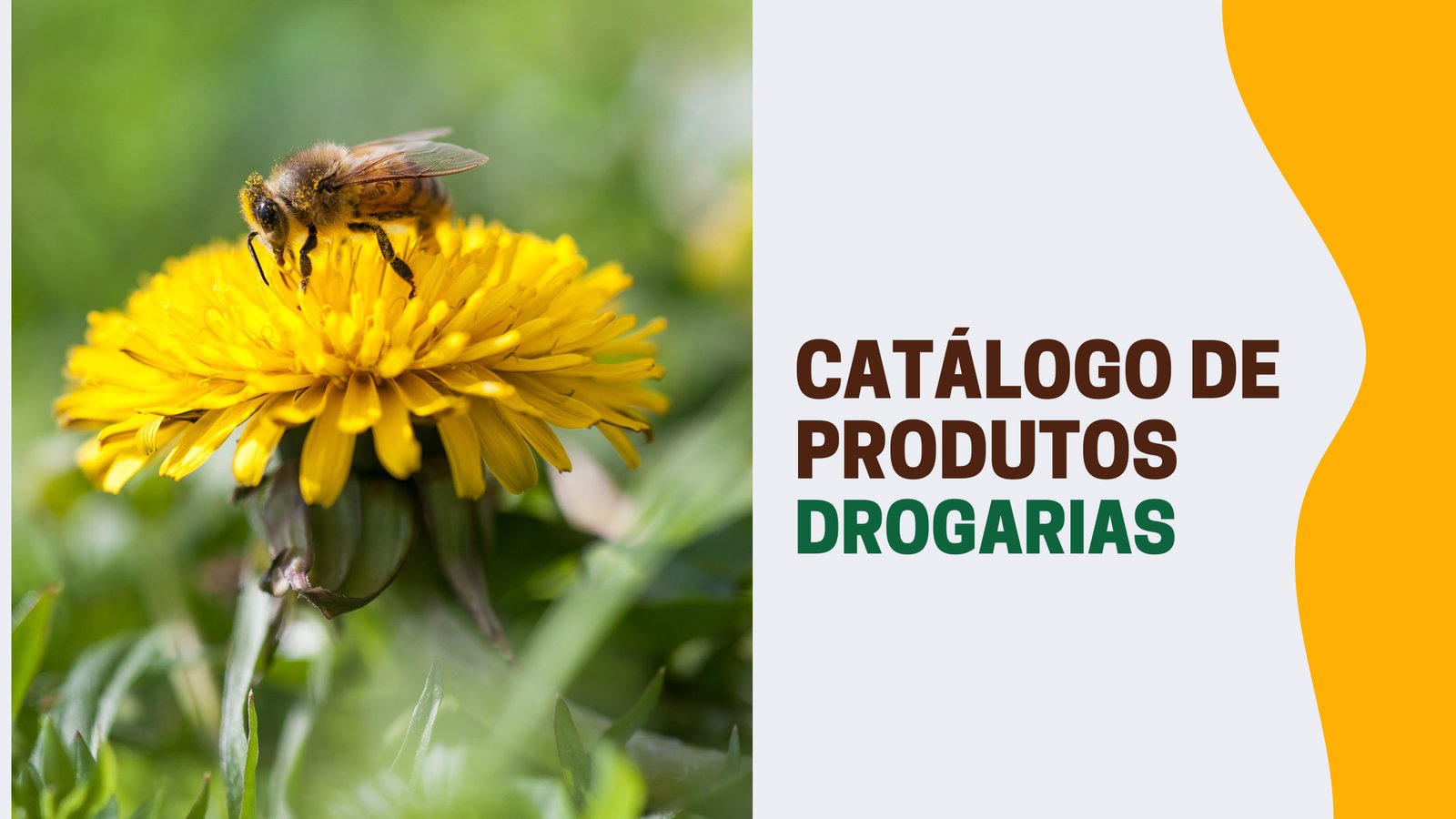 Catálogo Drogarias